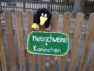 KiJu_Pinguine_03