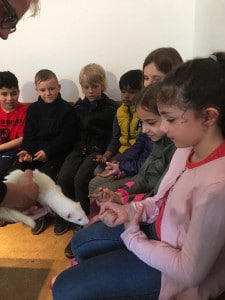 KiJu_Pinguine_06